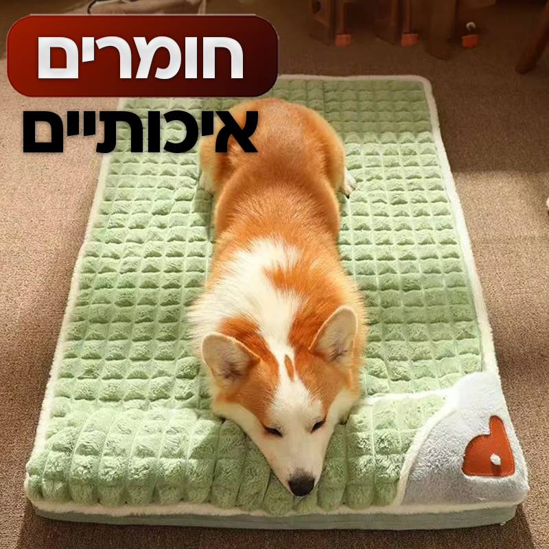 מיטה אורתופדית לחית המחמד