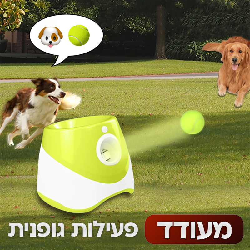 משגר כדורים לכלב