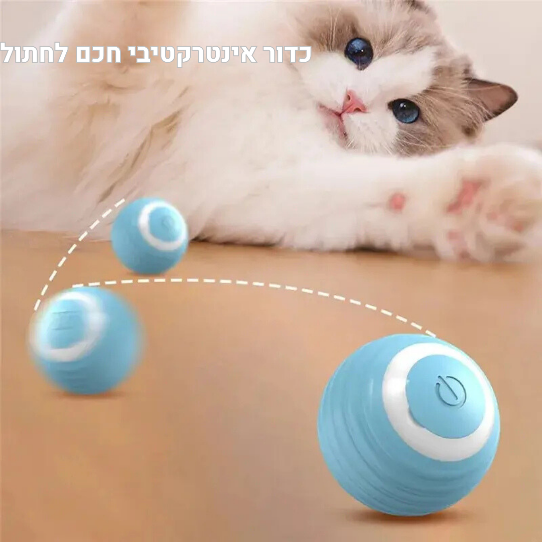 כדור הקסם החכם לחיות מחמד - משחק אינטראקטיבי וקופצני