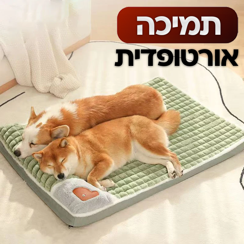 מיטה אורתופדית לחית המחמד